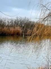 FO_Rethem_20230110_092028