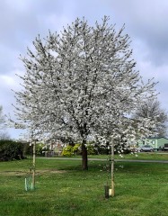 P1060240
