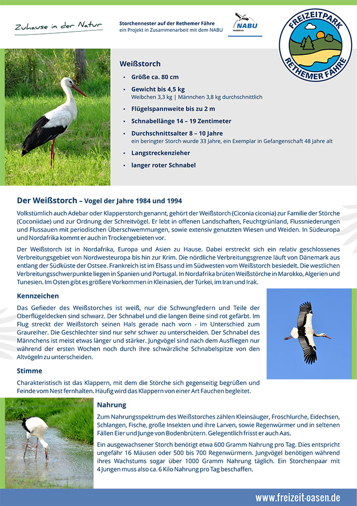 Informationsplakat über Störche wie den Weißstorch mit Angaben zu Größe, Gewicht, Flügelspannweite und Lebensraum, mit Fotos des Vogels und Logos von NABU und Freizeitpark Rheiner Fähr.