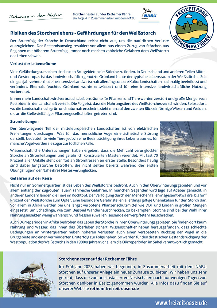 Informationsplakat über die Gefährdung der Störche in Deutschland, einschließlich Lebensraumverlust und Umweltbedrohungen, mit Abbildungen von Störchen und Logos des Freizeitparks Rheder Feld und des NABU.